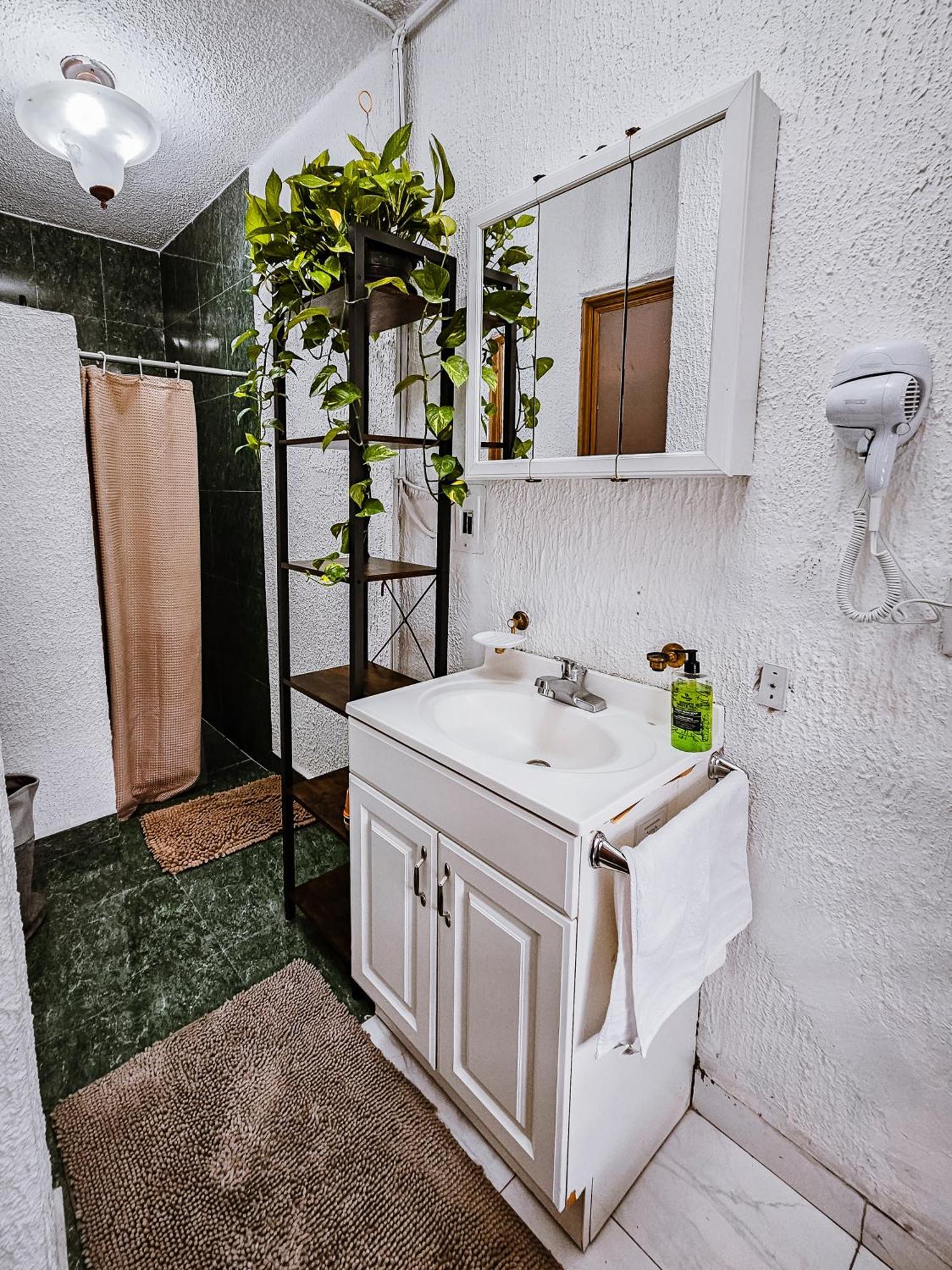 Habitacion Con Bano Privado B, Centro De Coyoacan Mexico City Room photo
